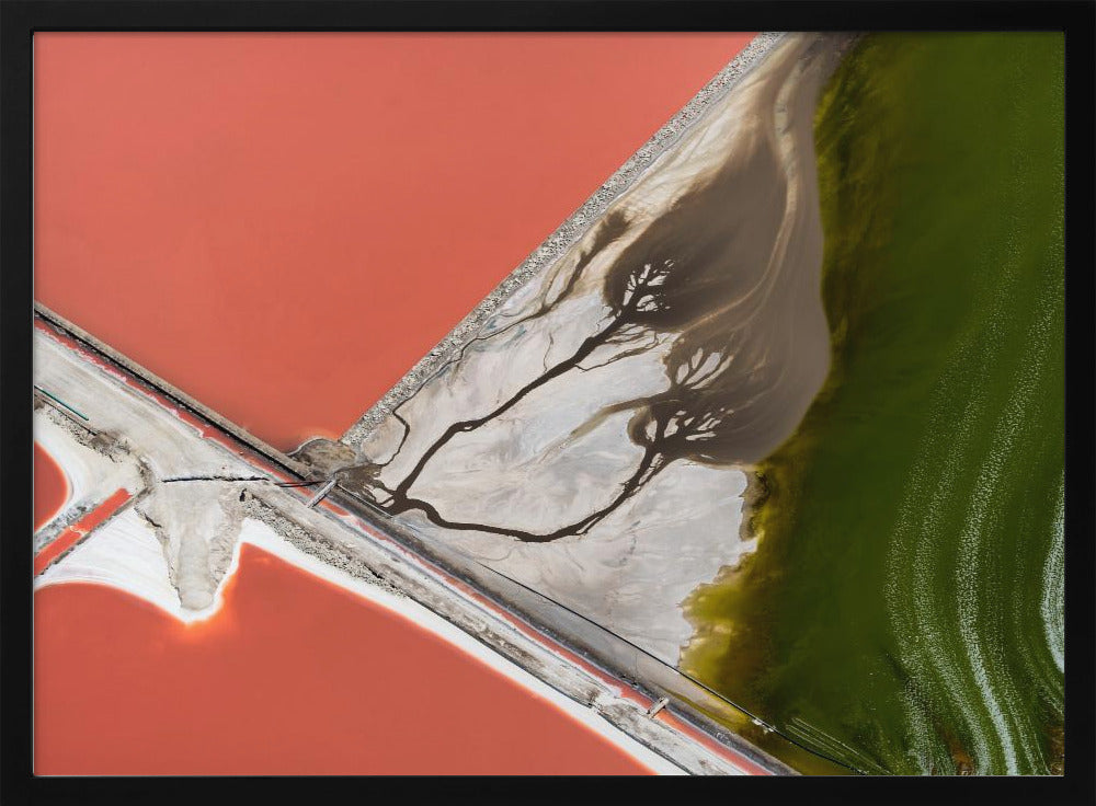 Pintura de la naturaleza | Posters - Impresiones de Arte