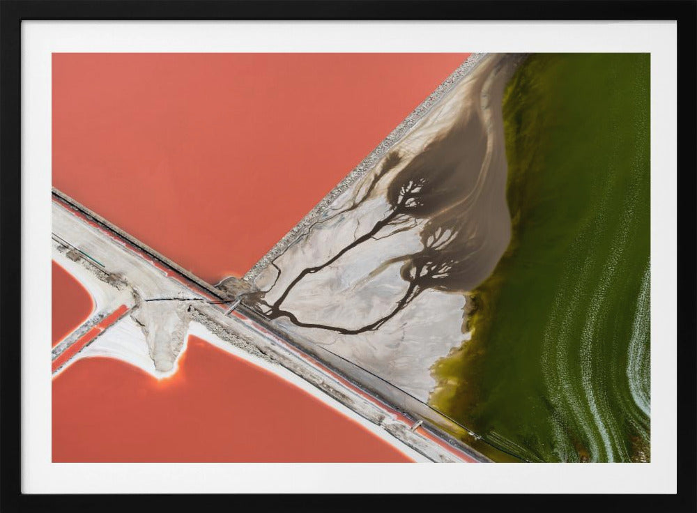 Pintura de la naturaleza | Posters - Impresiones de Arte