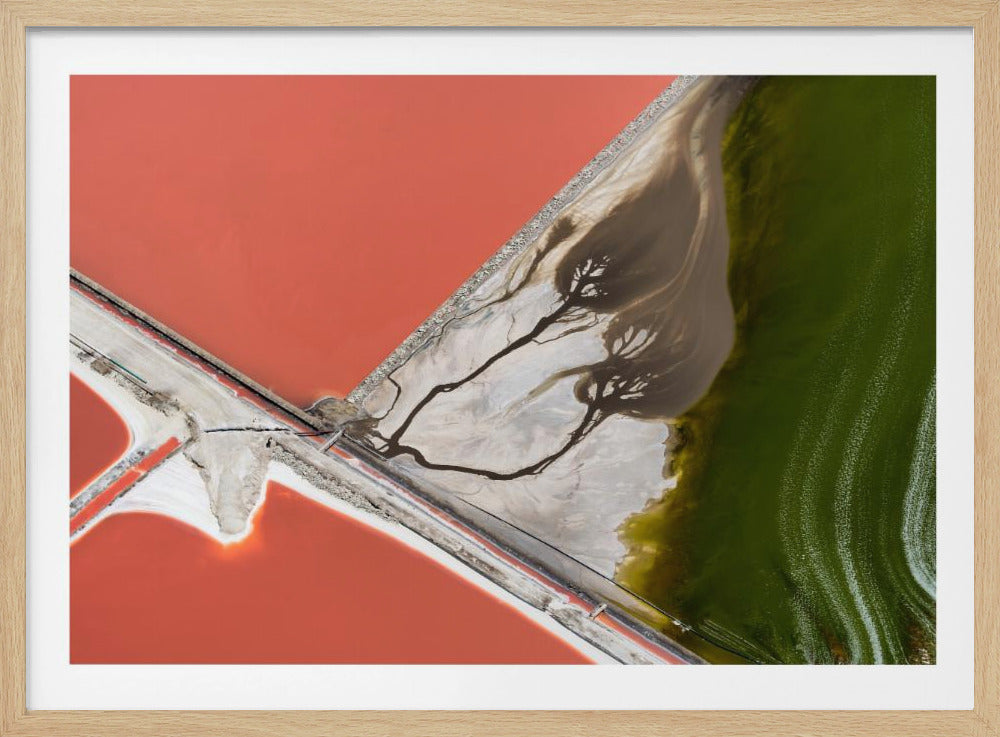 Pintura de la naturaleza | Posters - Impresiones de Arte