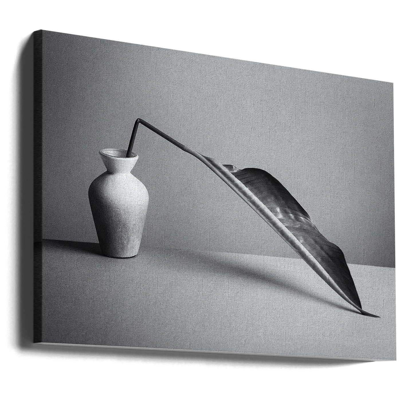 Das Blatt | Leinwand-Bilder