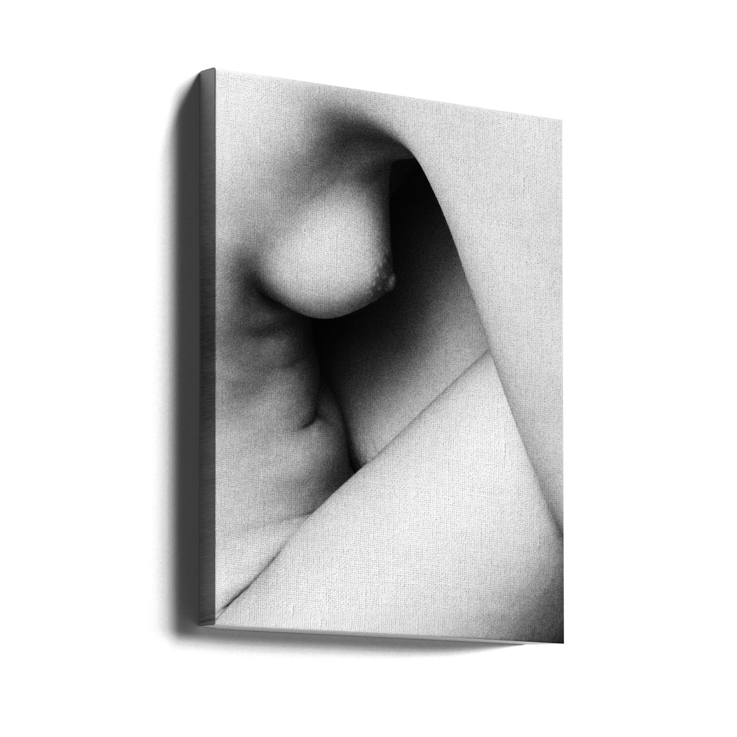 Shapes | Canvas