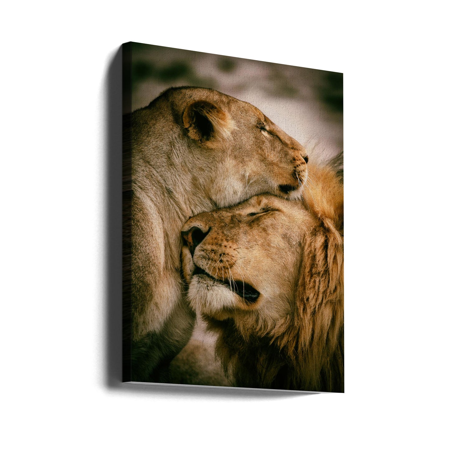 Qu'est-ce que l'amour | Tableaux sur Toile