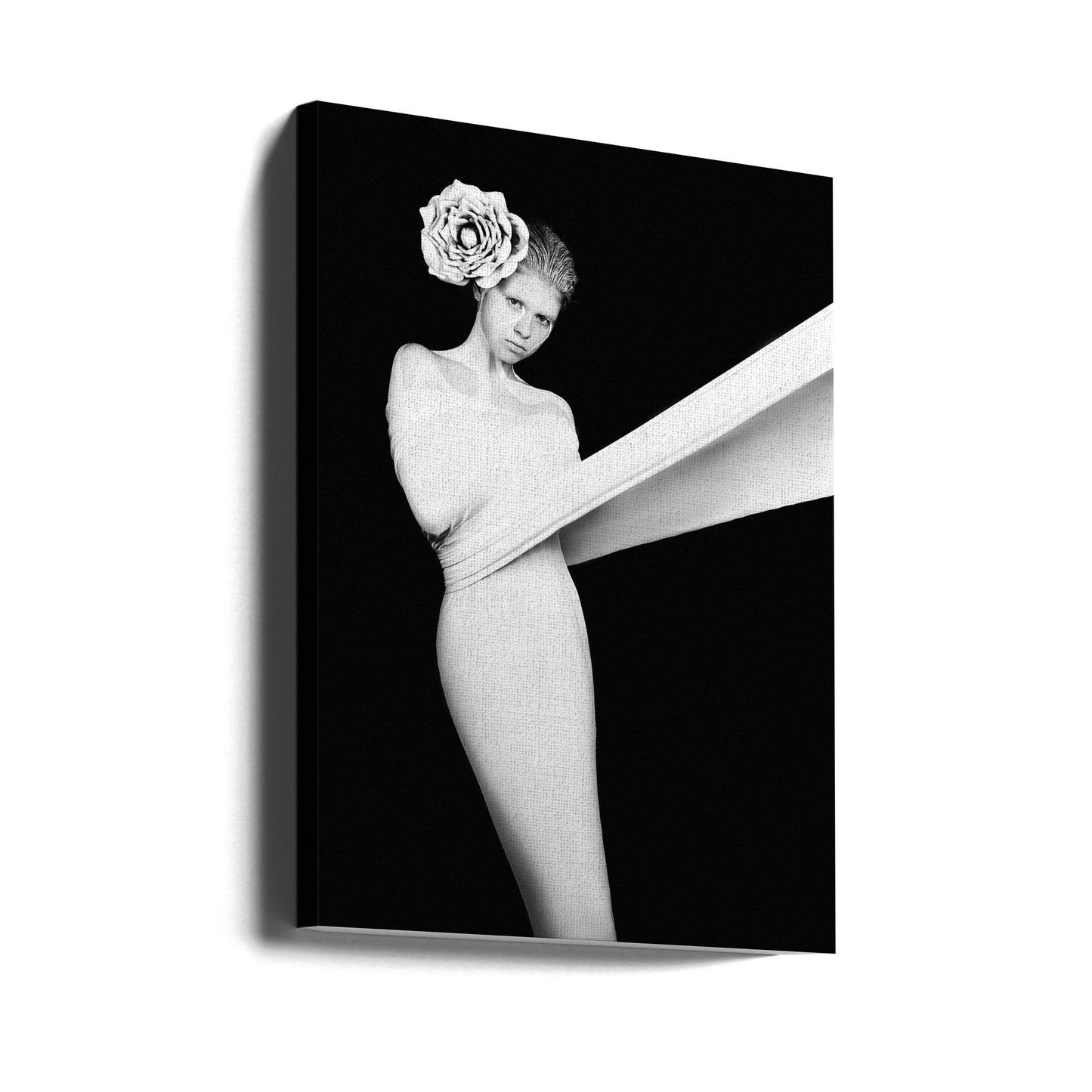 Elegant Enigma | Canvas