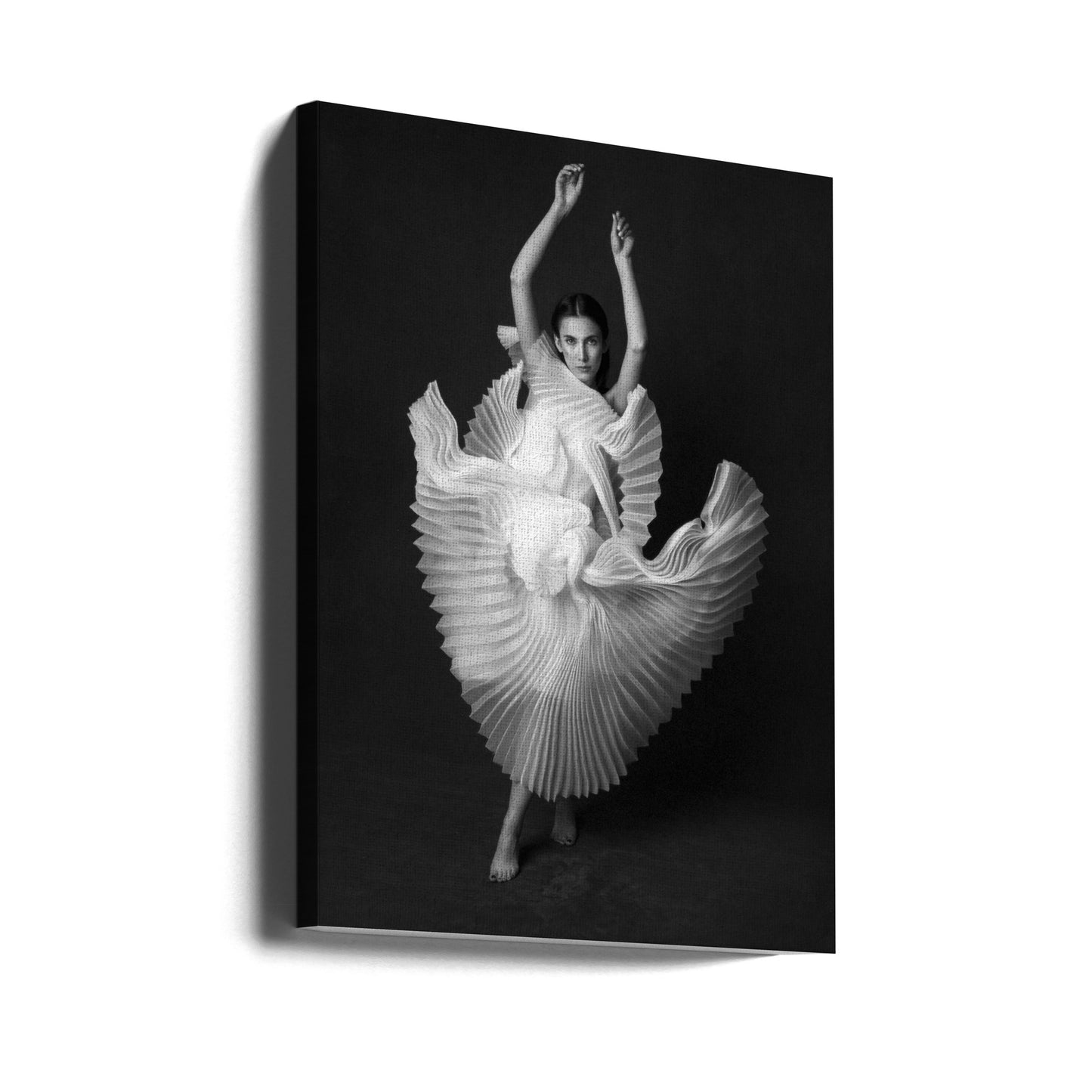 Swan Lake | Canvas