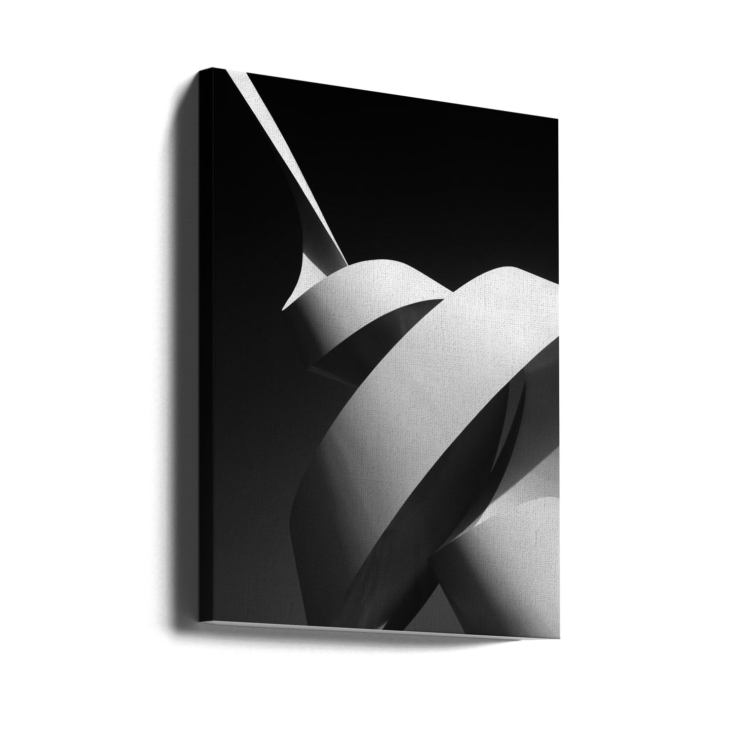 The scroll | Canvas