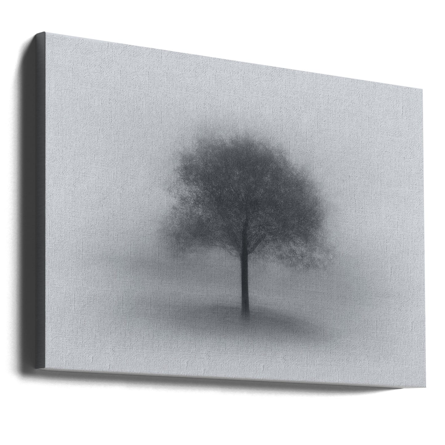 Tree in Fog | Canvas