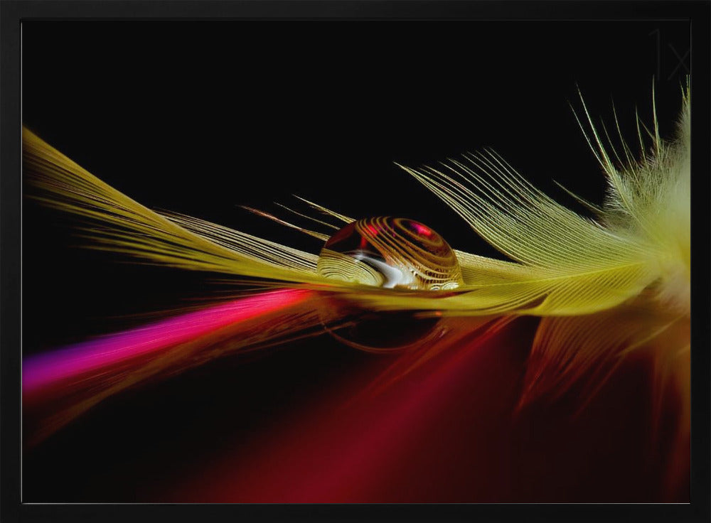 Colori nella goccia | Poster - Stampe d’Arte