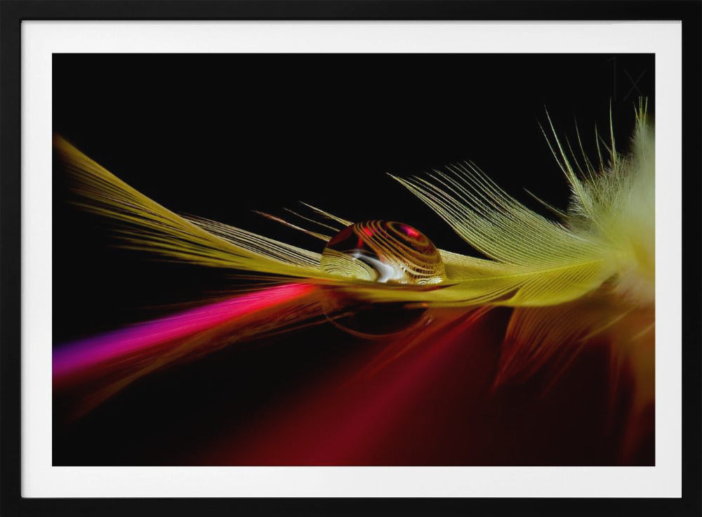 Colori nella goccia | Poster - Stampe d’Arte