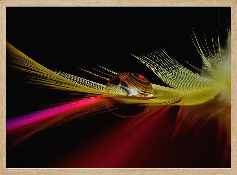 Colori nella goccia | Poster - Stampe d’Arte