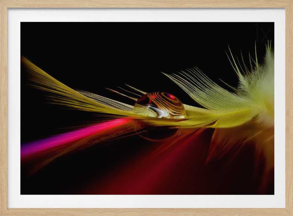 Colori nella goccia | Poster - Stampe d’Arte