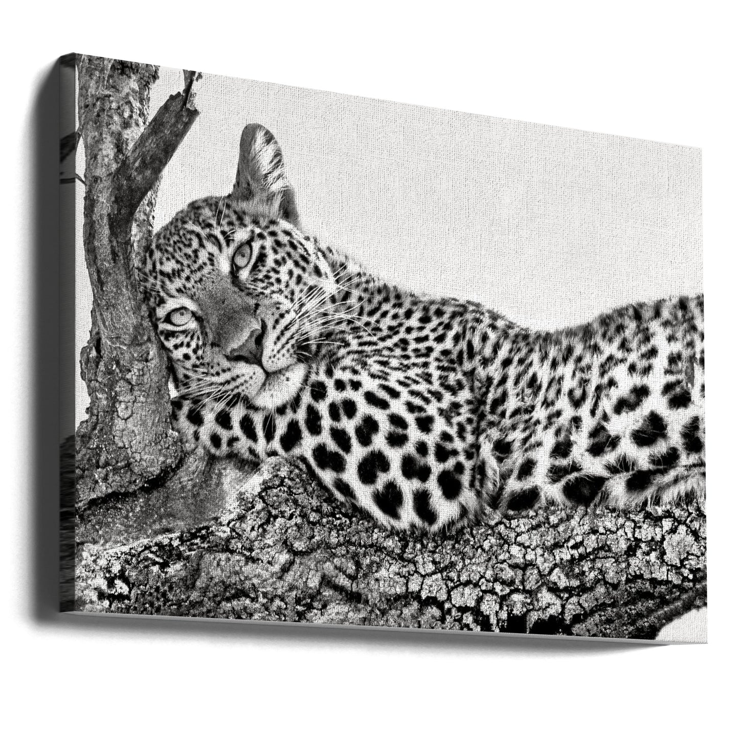 Il est temps de se reposer | Tableaux sur Toile