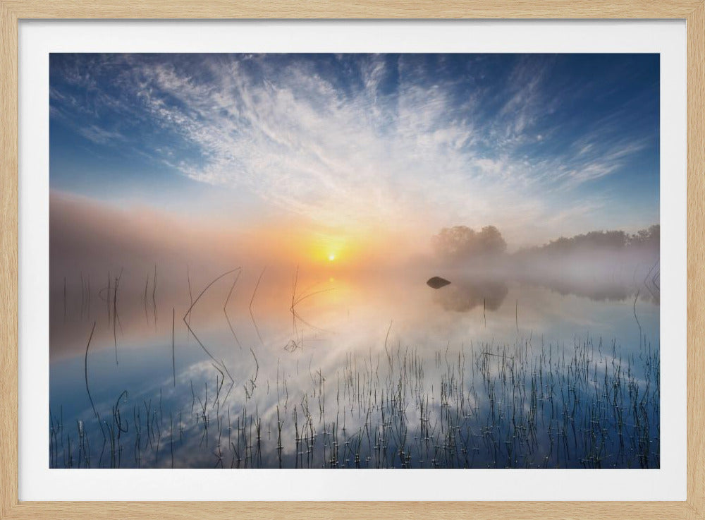 Riflessione | Poster - Stampe d’Arte