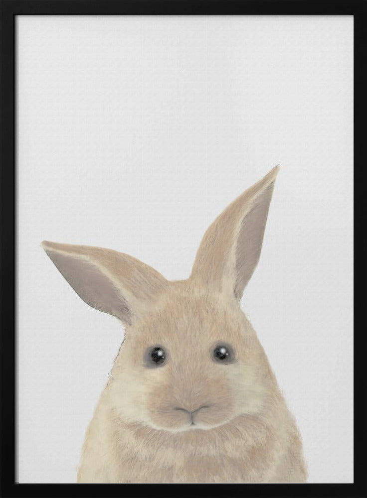 Rabbit | Poster
