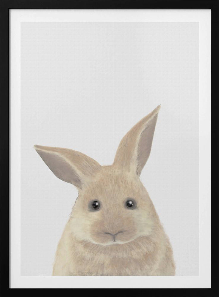 Rabbit | Poster