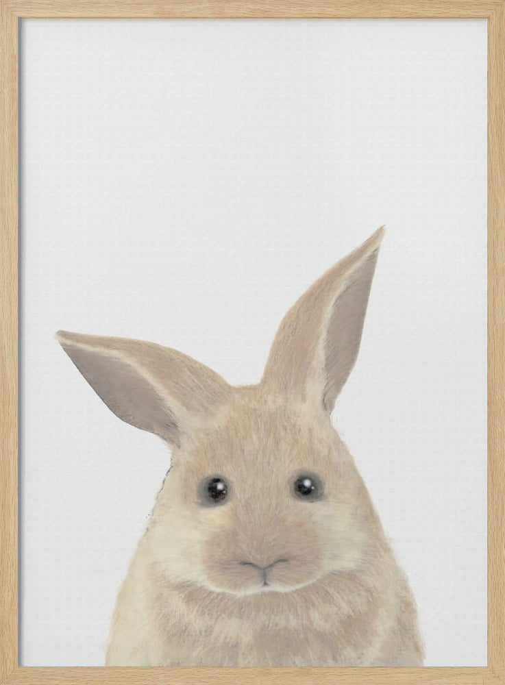 Rabbit | Poster