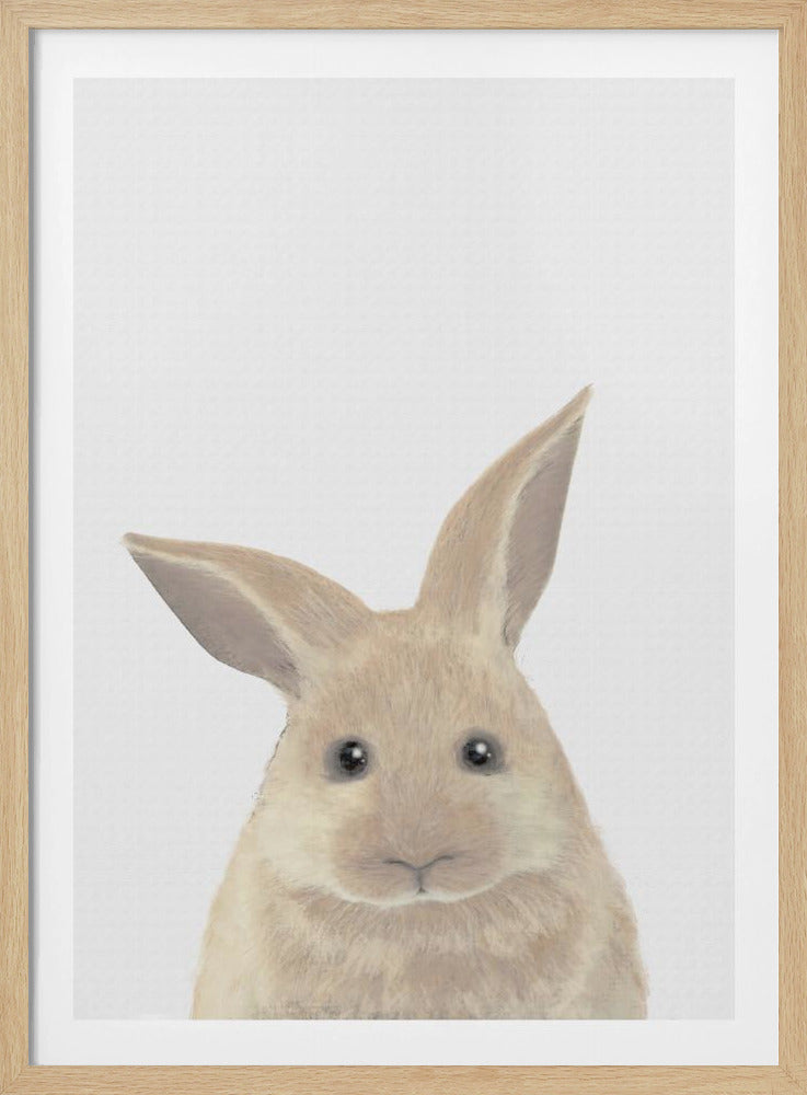 Rabbit | Poster