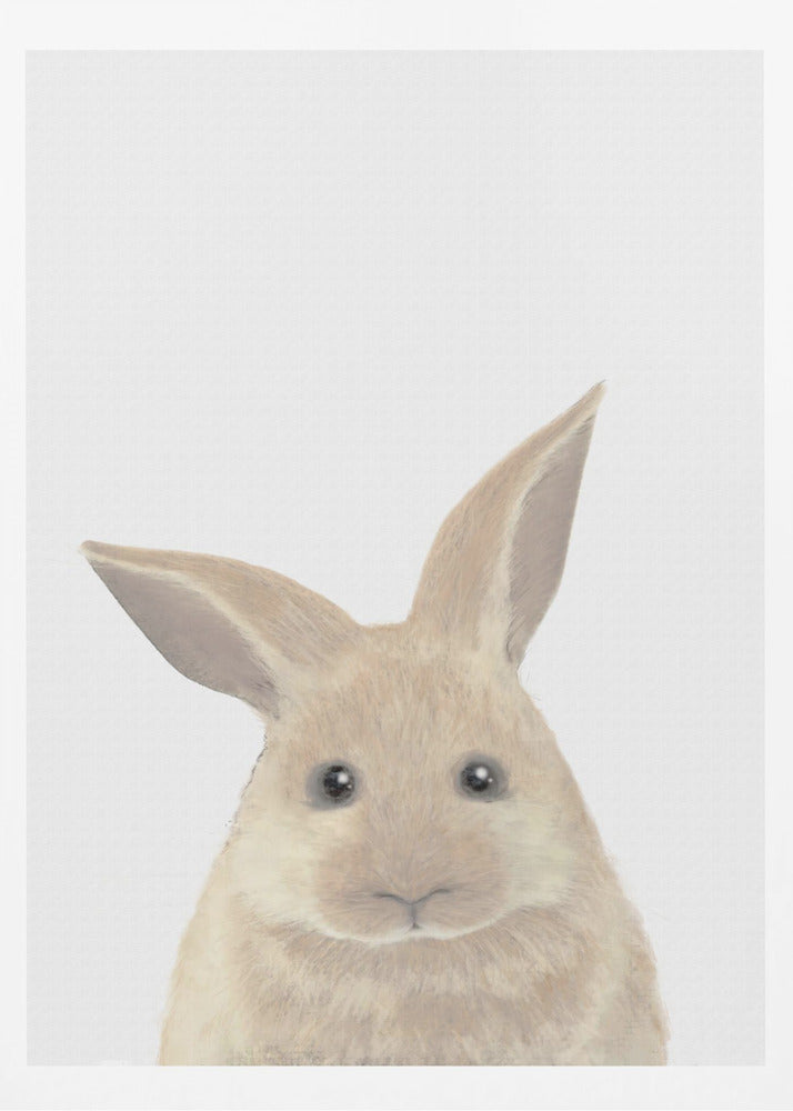 Rabbit | Poster