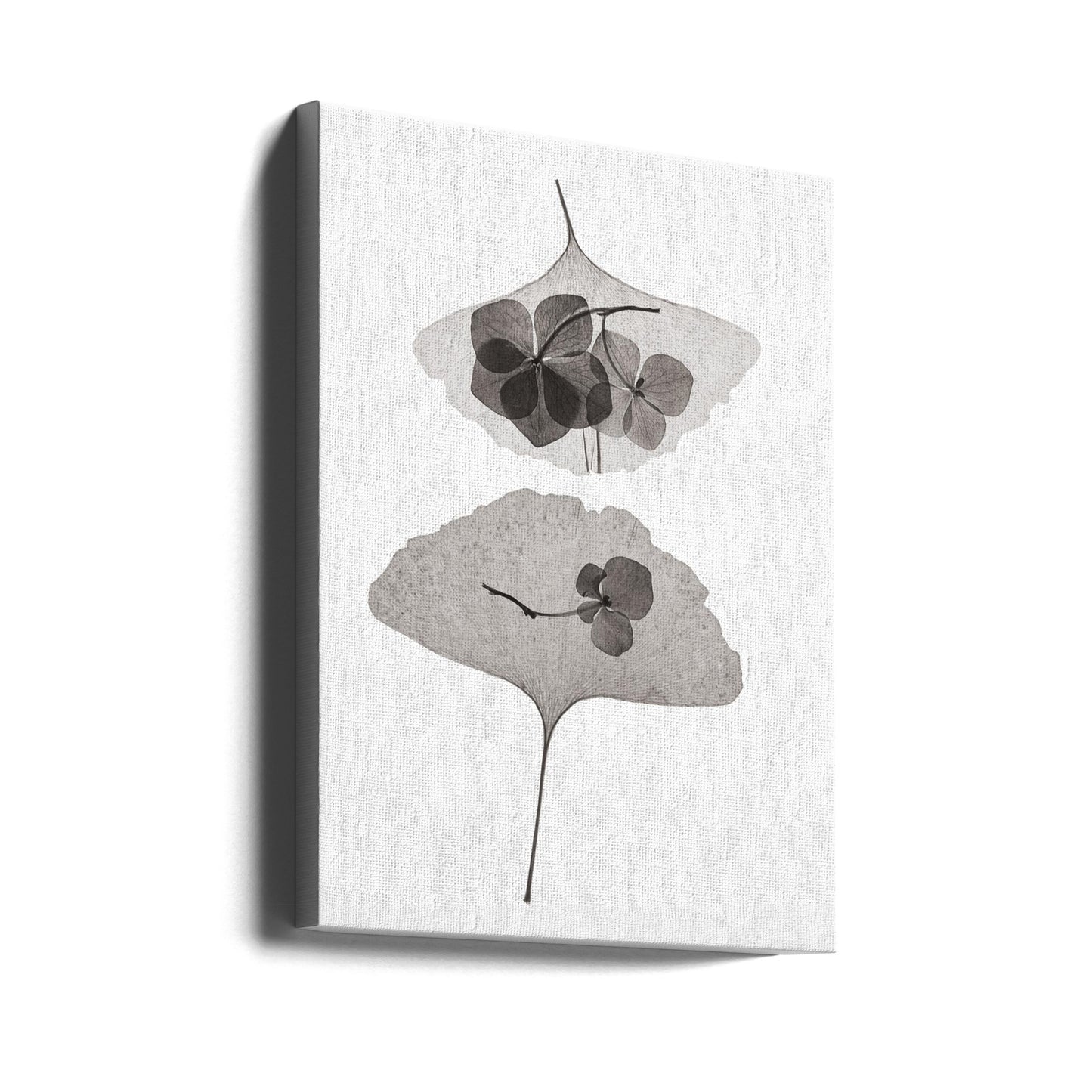 Botanico #35 | Stampe su Tela