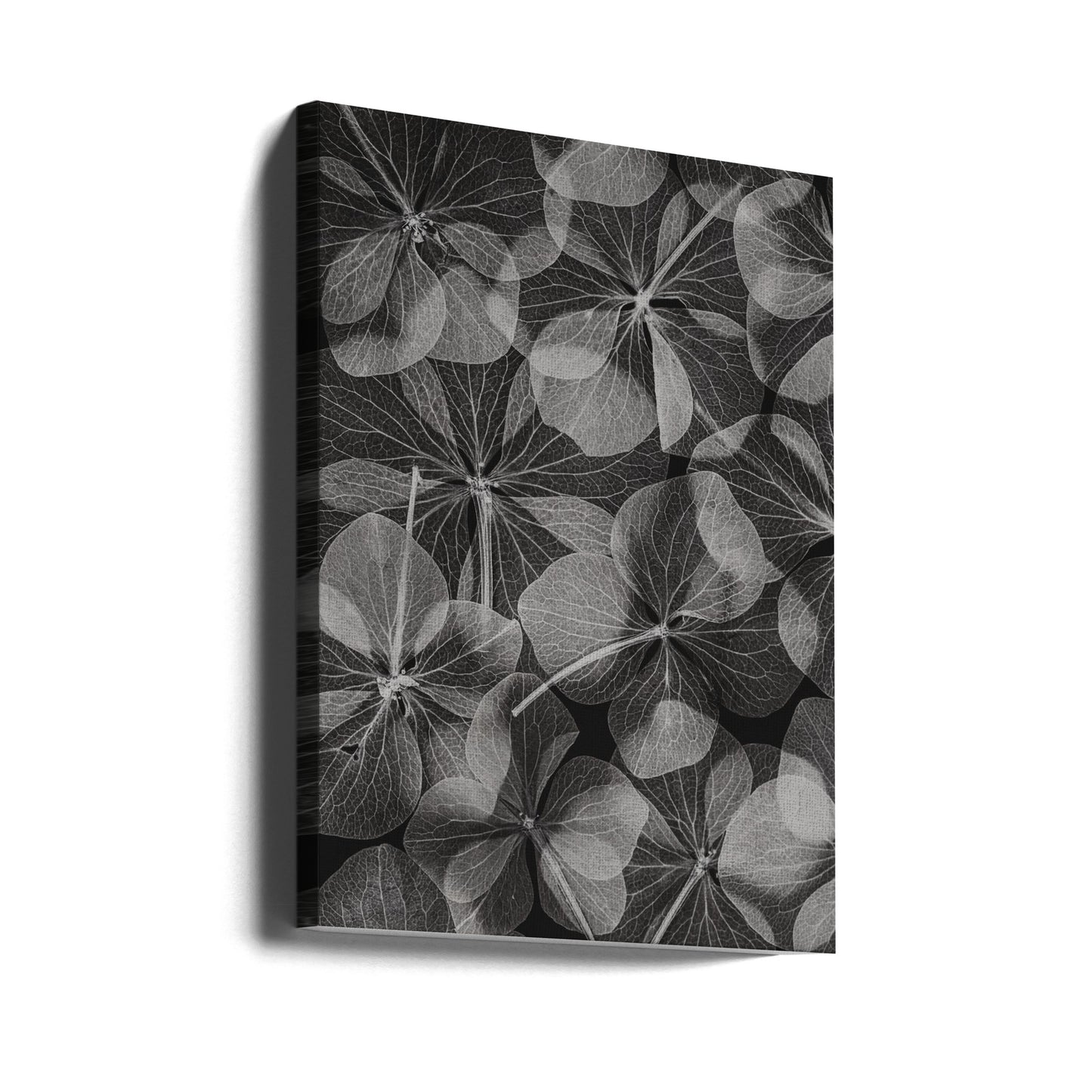 Botanisch #48 | Canvasprints