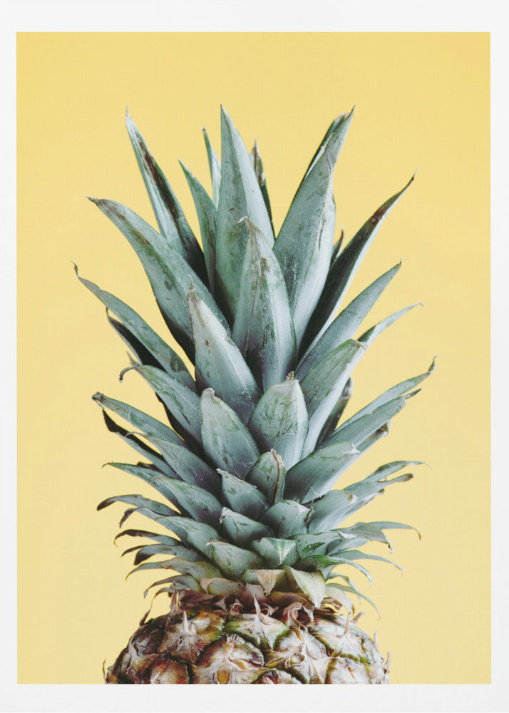 Pineapple Yellow 03 | Poster