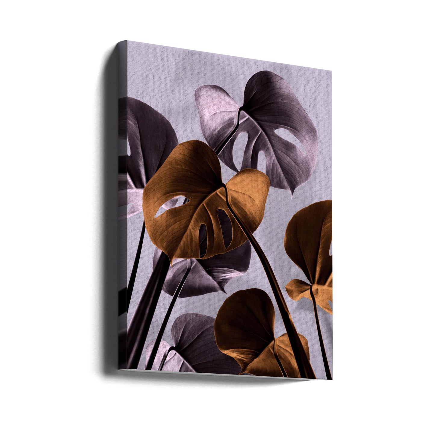 Monstera Purple 01 | Canvastaulut
