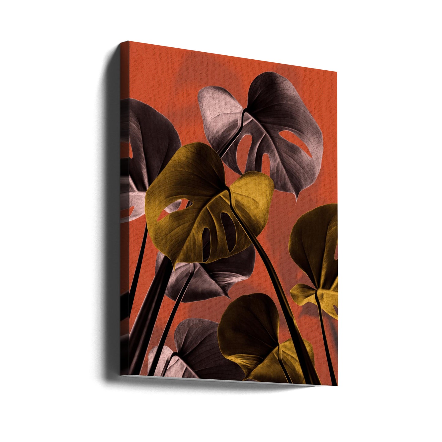 Monstera Naranja 01 | Impresiones en Lienzo