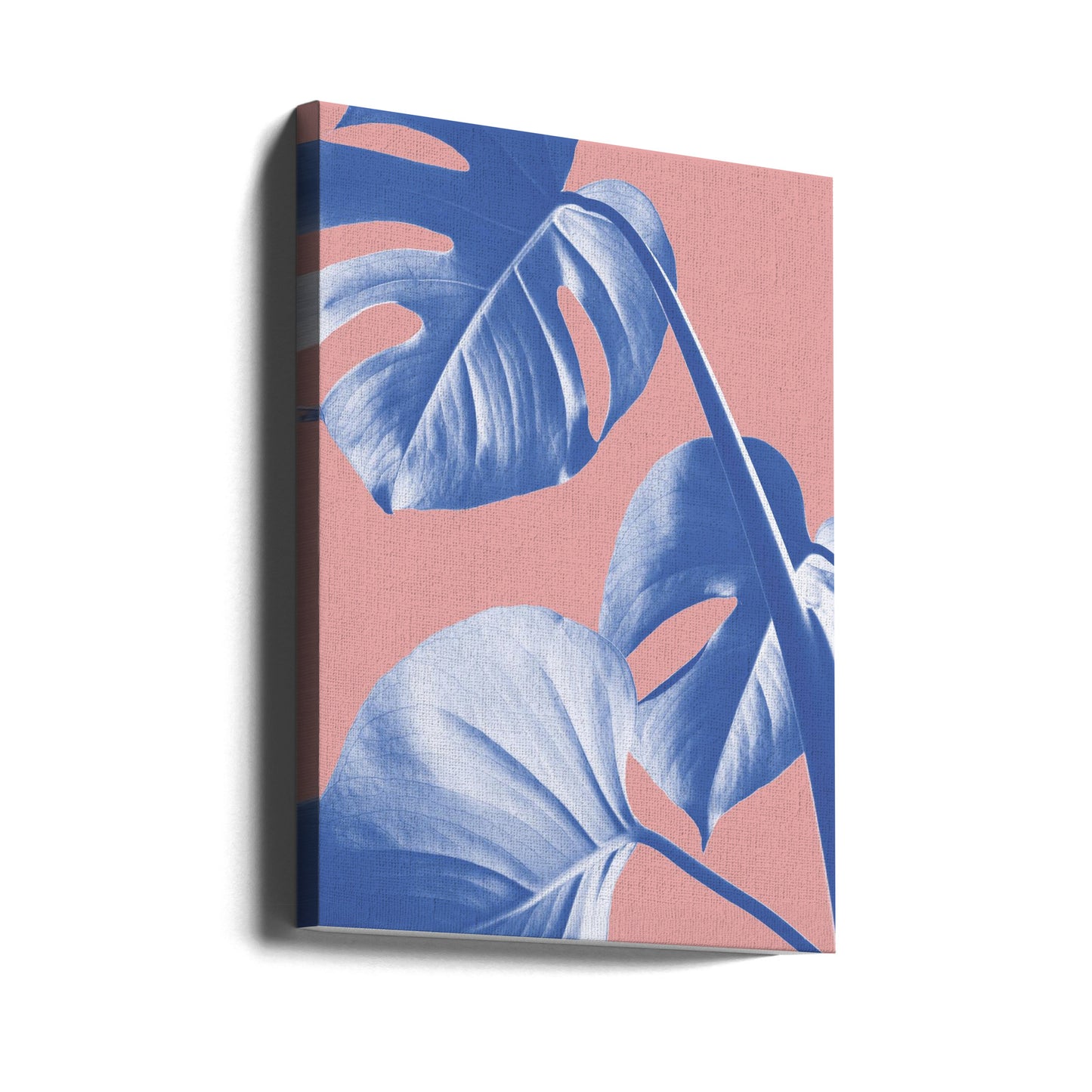 Monstera Purple 05 | Canvastaulut