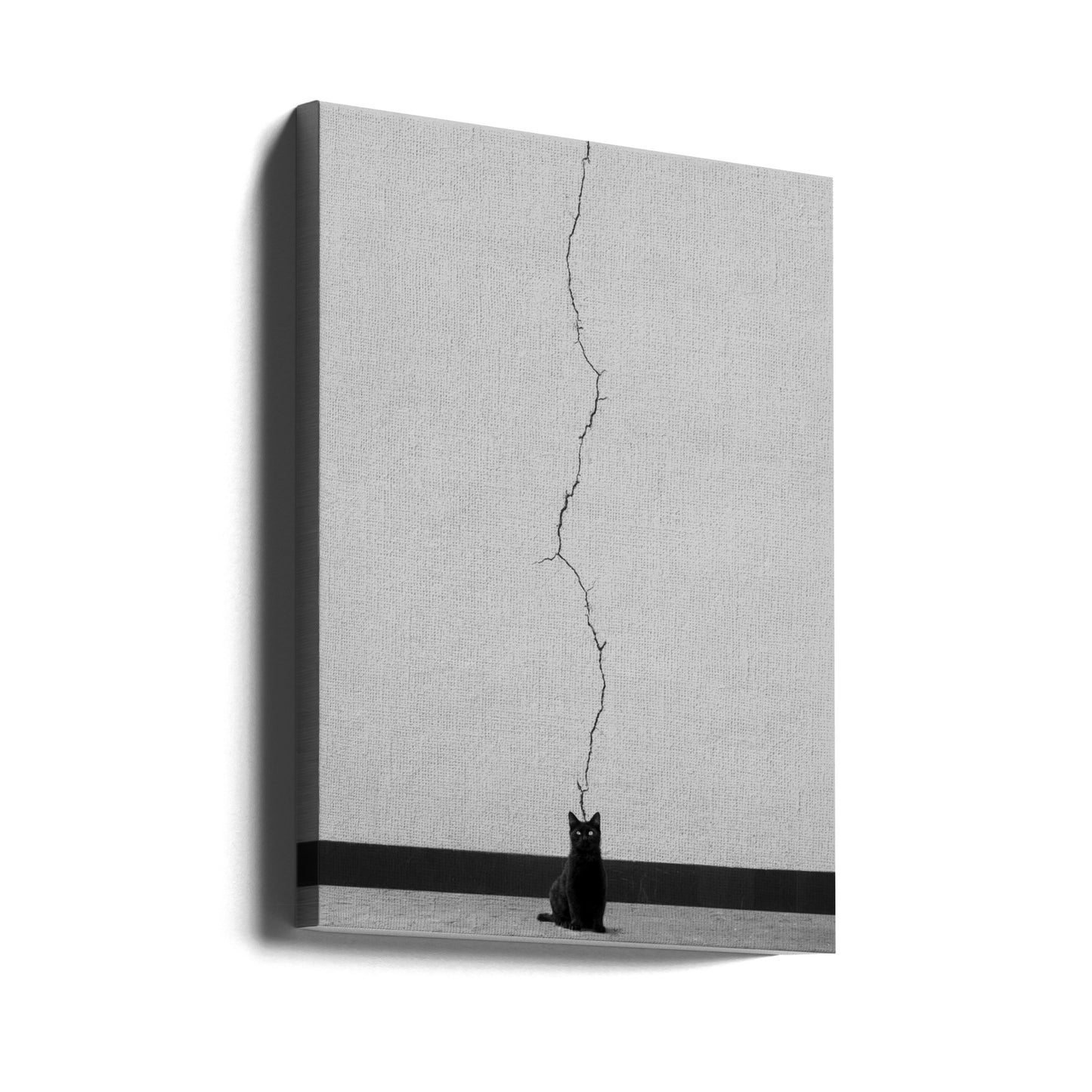 Kattengedachten | Canvasprints