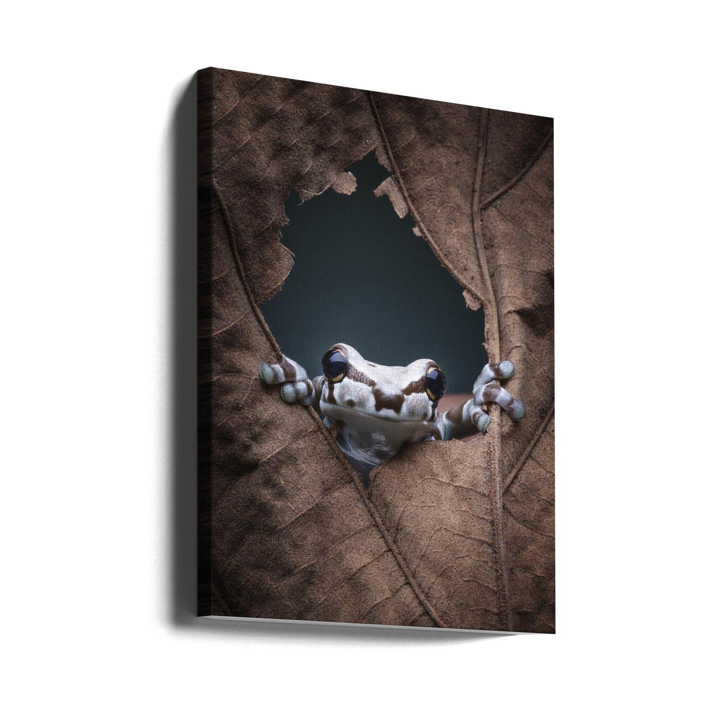 Hallo... | Canvasprints