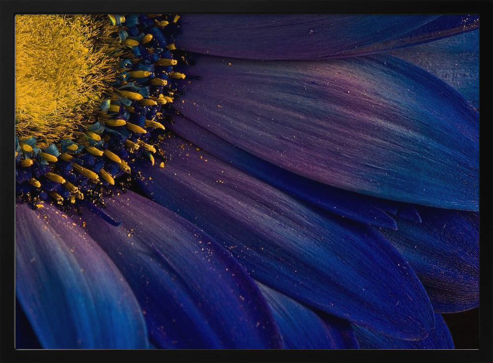 Raggi Blu | Poster - Stampe d’Arte