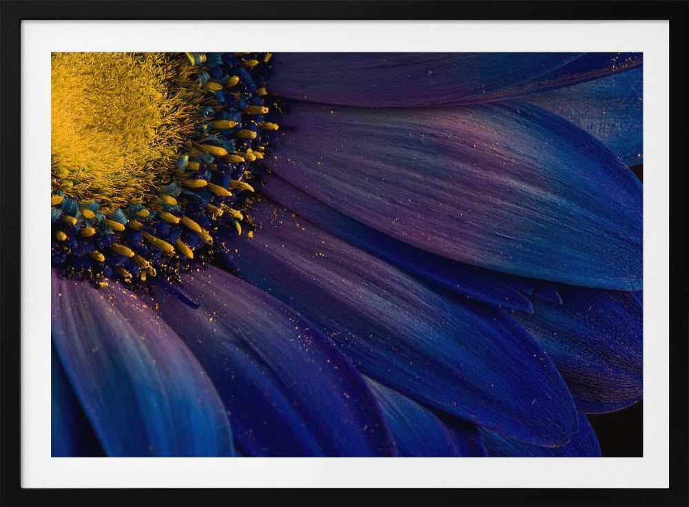 Raggi Blu | Poster - Stampe d’Arte
