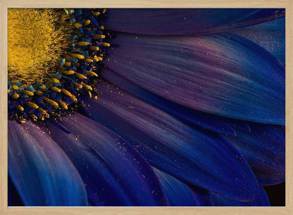 Raggi Blu | Poster - Stampe d’Arte