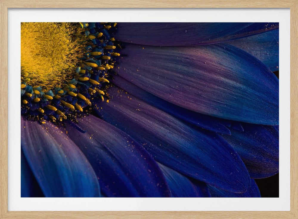 Raggi Blu | Poster - Stampe d’Arte