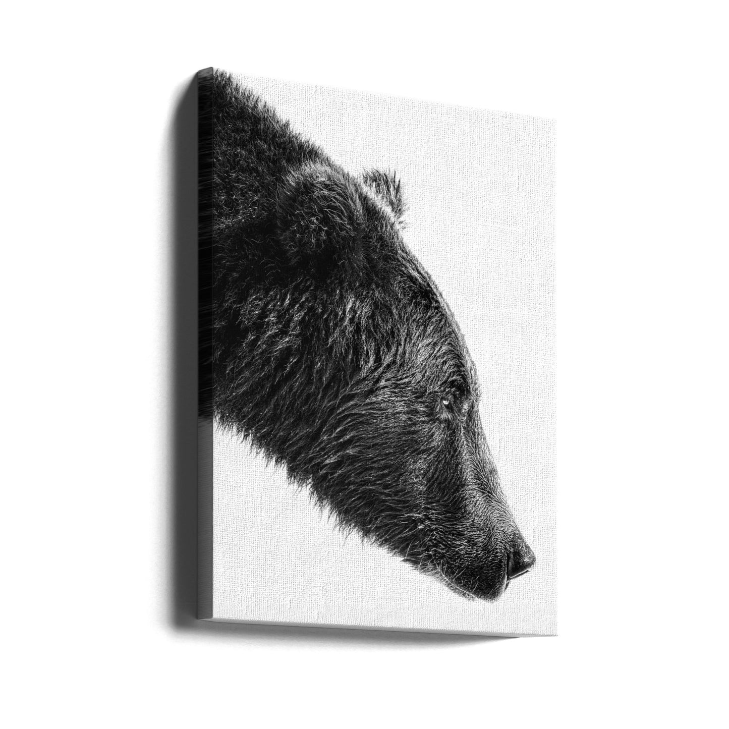 Laxfångaren | Canvas