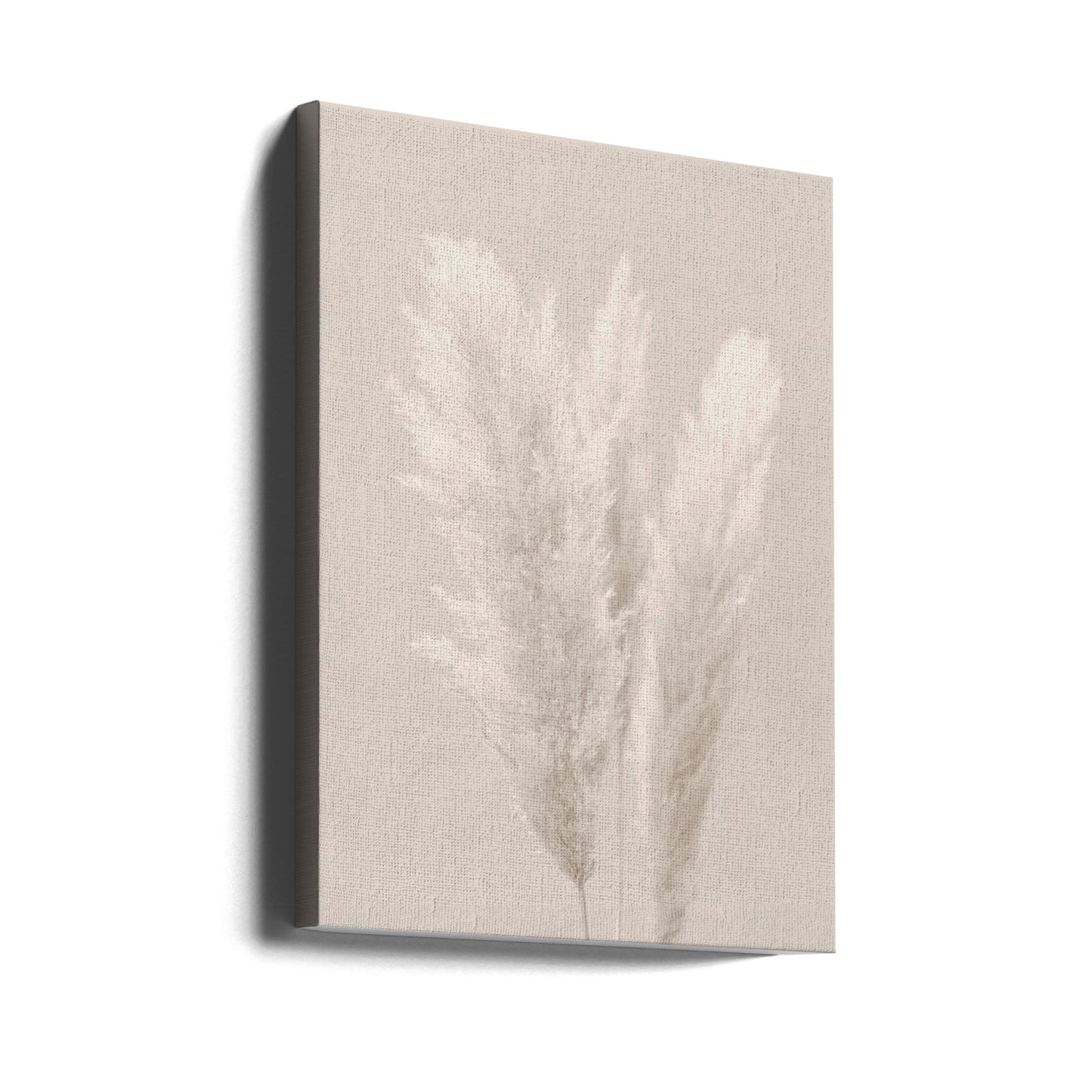 Pampasgräs_002 | Canvas