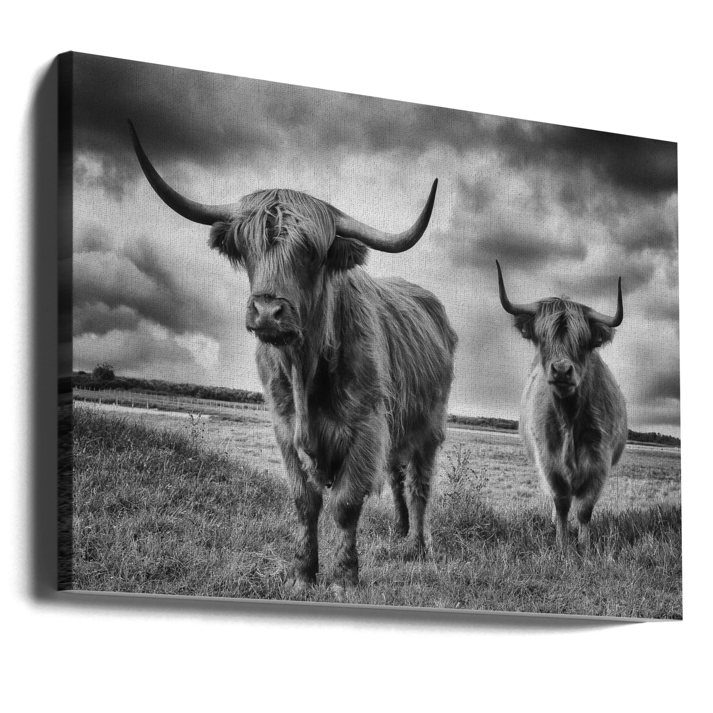 Hautes Terres | Tableaux sur Toile
