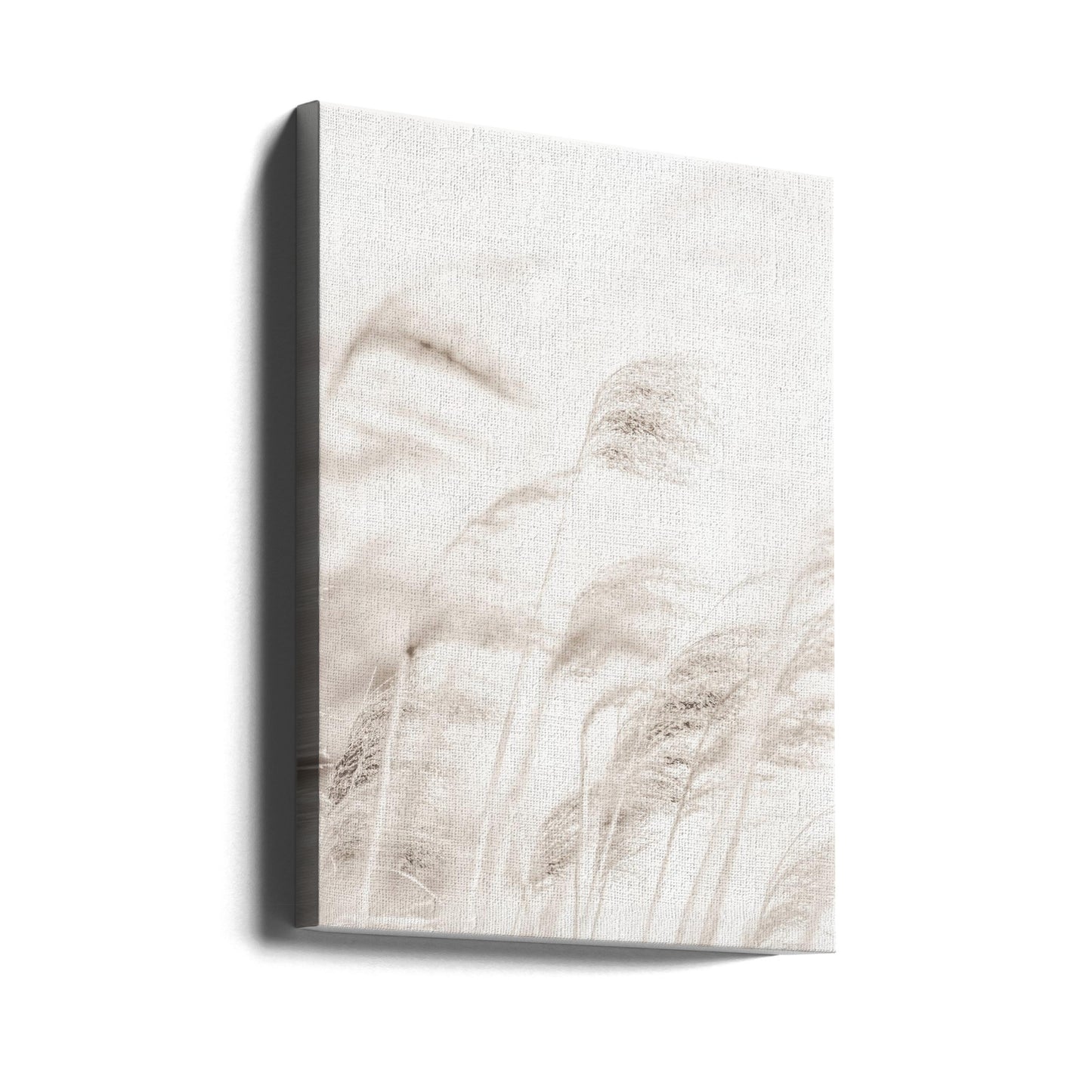 REED | Canvas