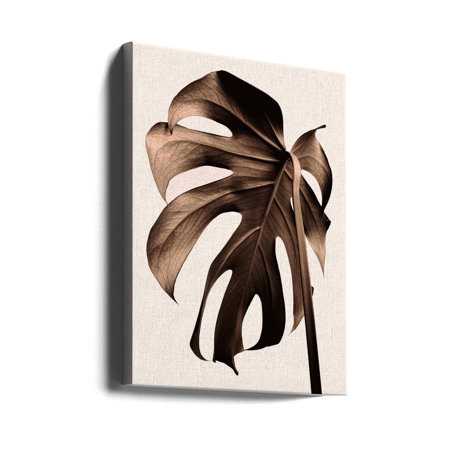 Monstera Gold | Leinwand-Bilder