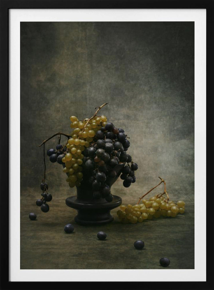 Traube | Poster - Kunstdruck