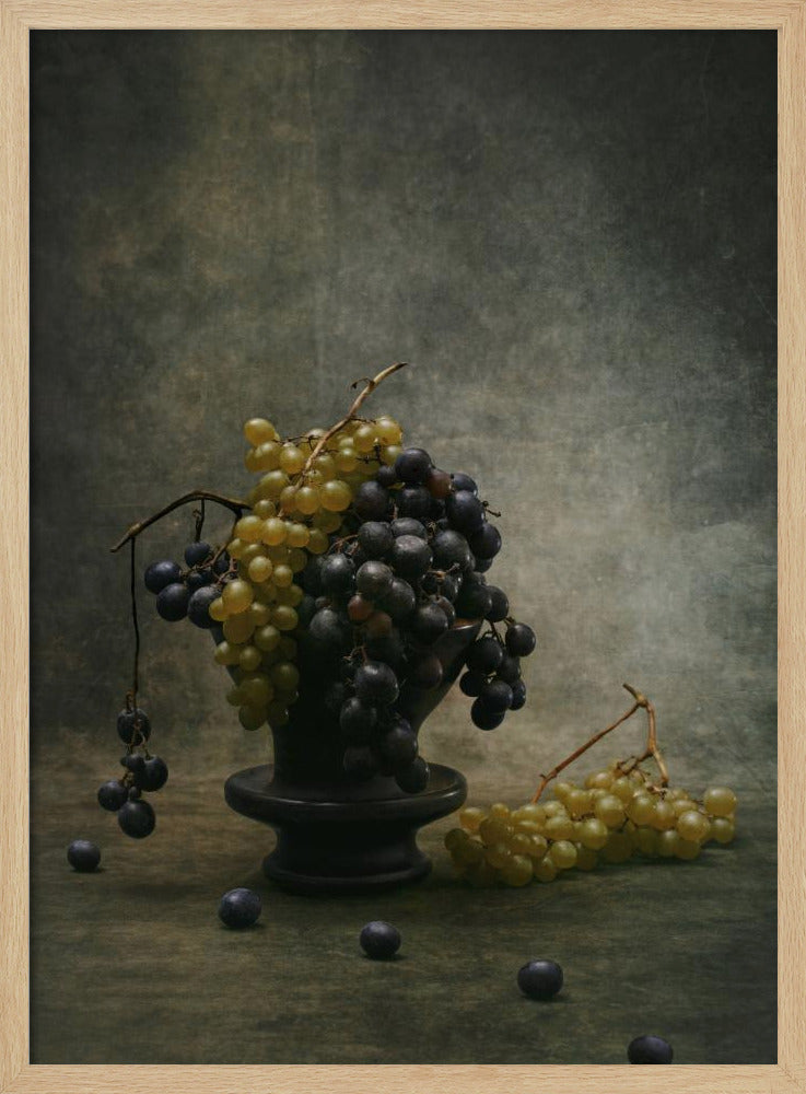 Traube | Poster - Kunstdruck