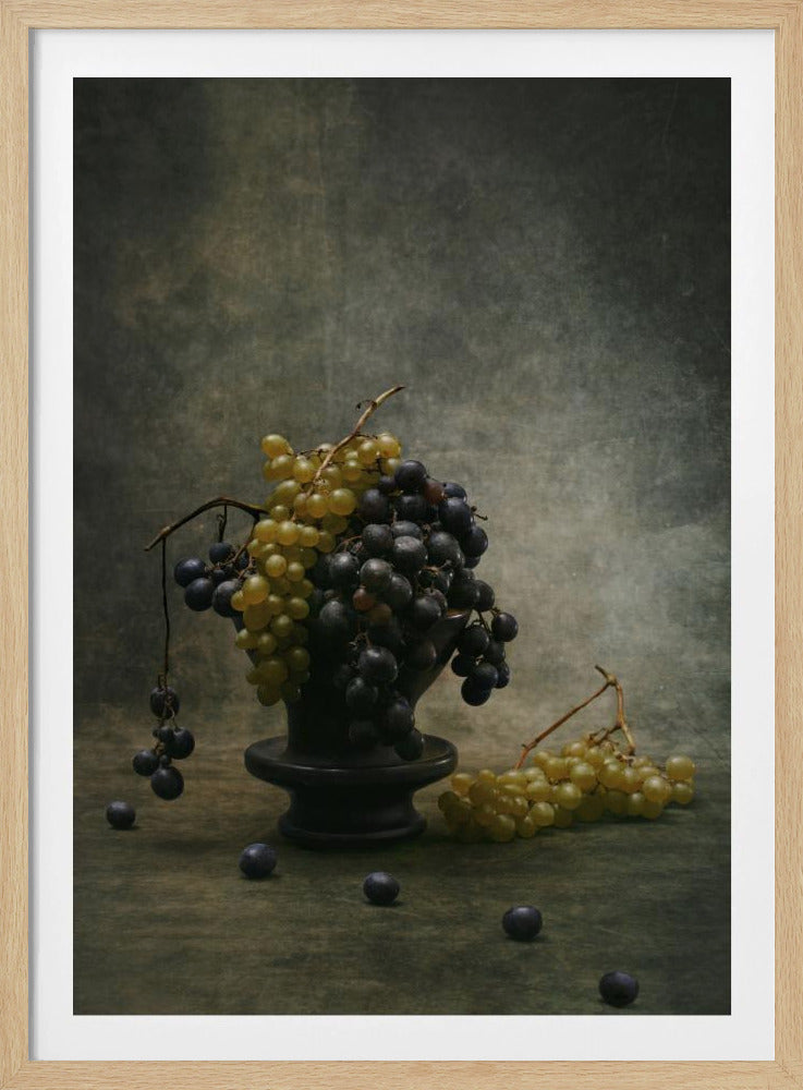 Traube | Poster - Kunstdruck