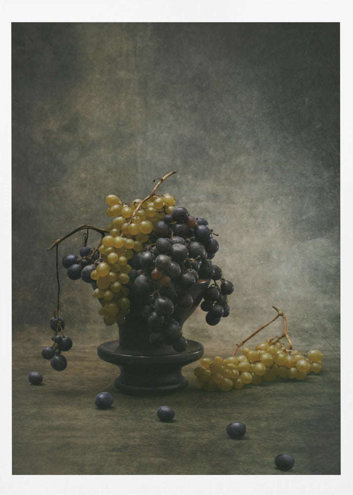 Traube | Poster - Kunstdruck