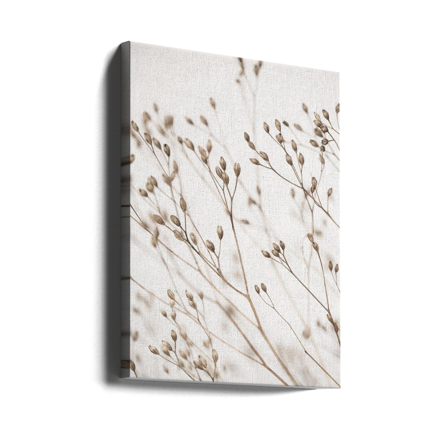 Wild Grass | Canvas