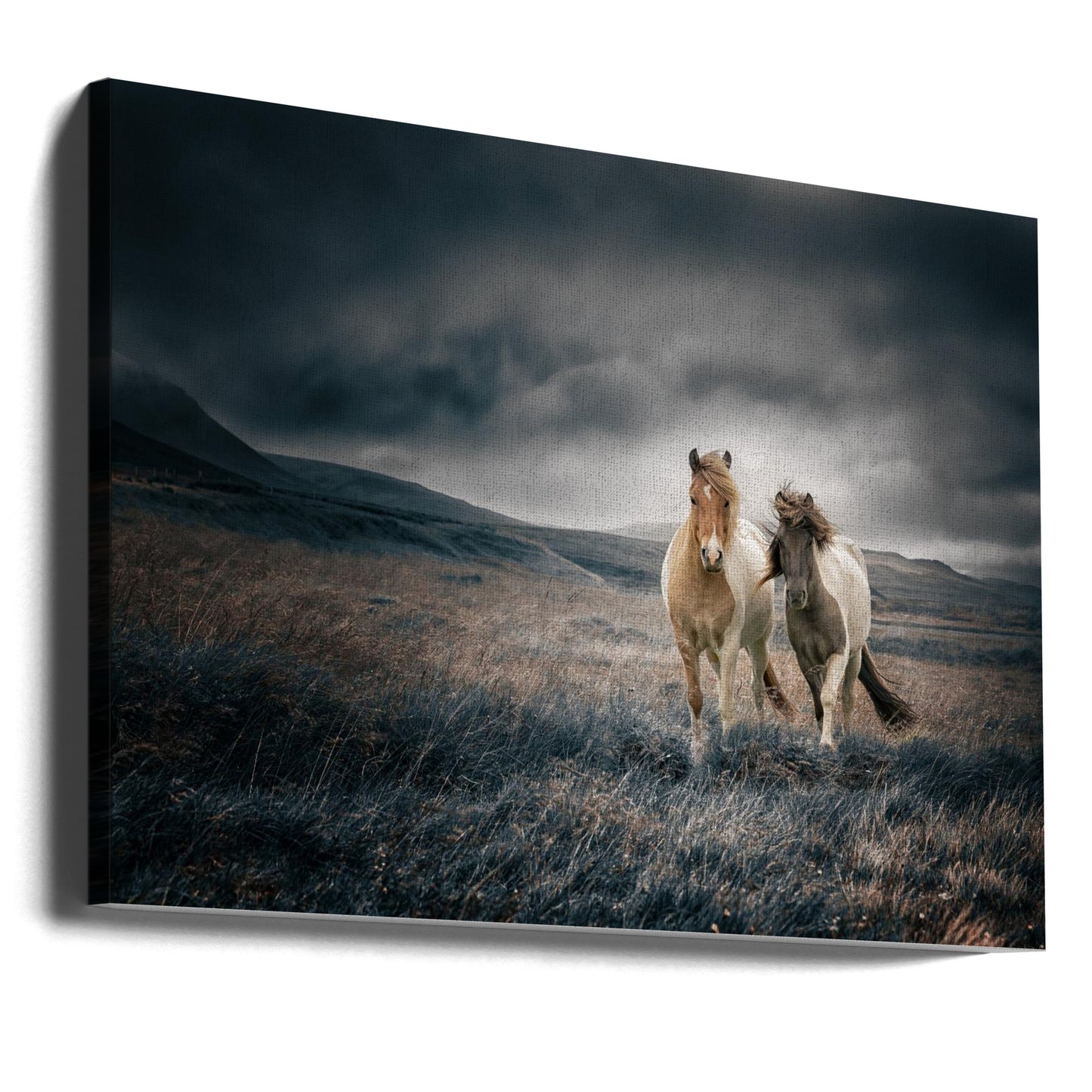 The brothers | Canvas
