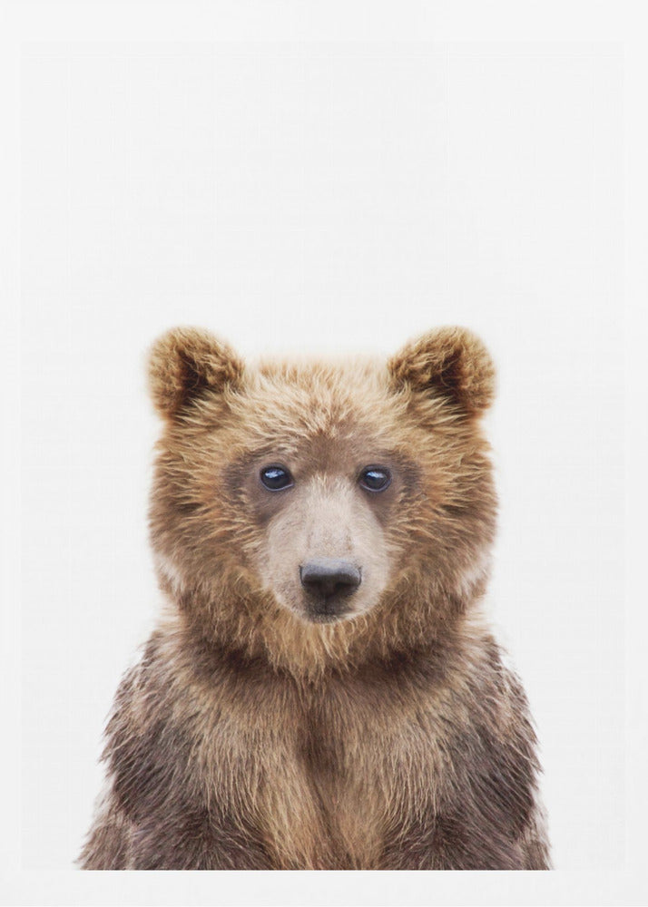 Baby Bear | Poster
