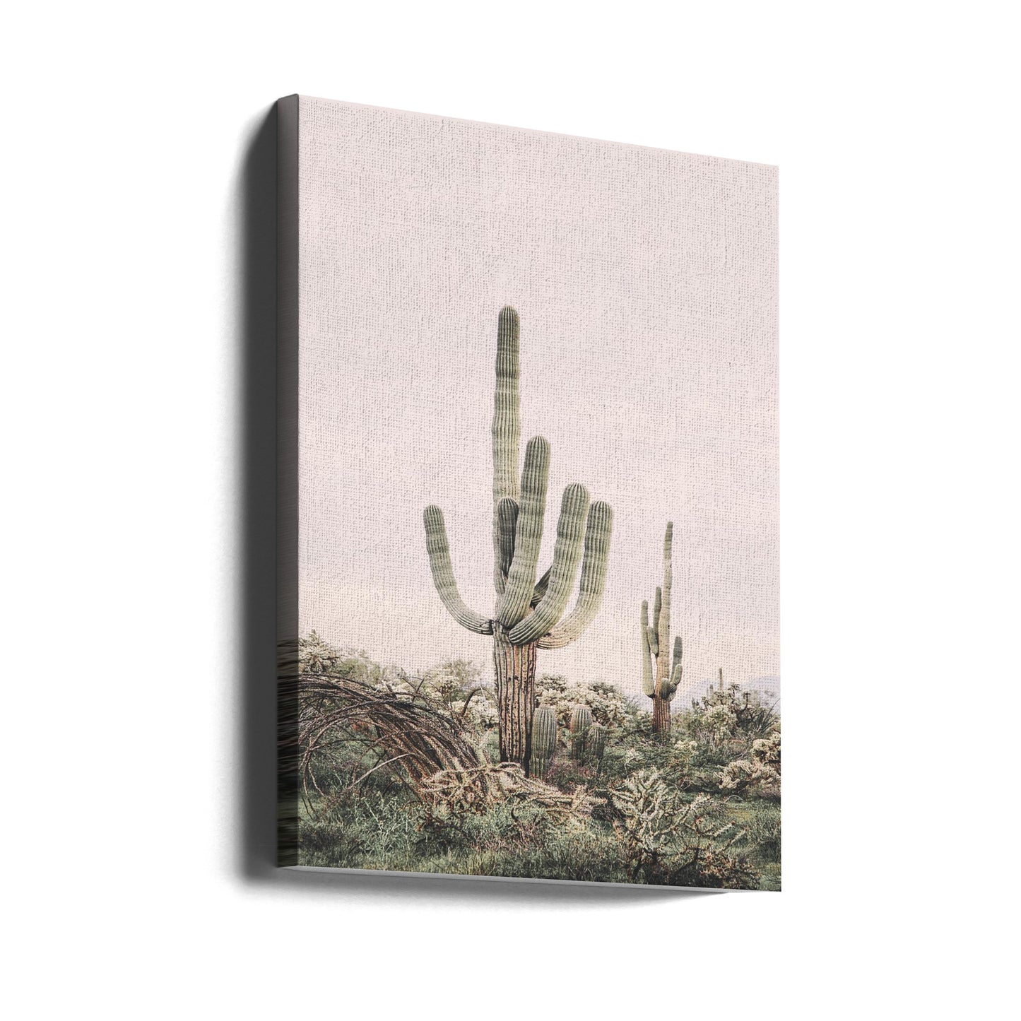 Pink Saguaro | Canvas