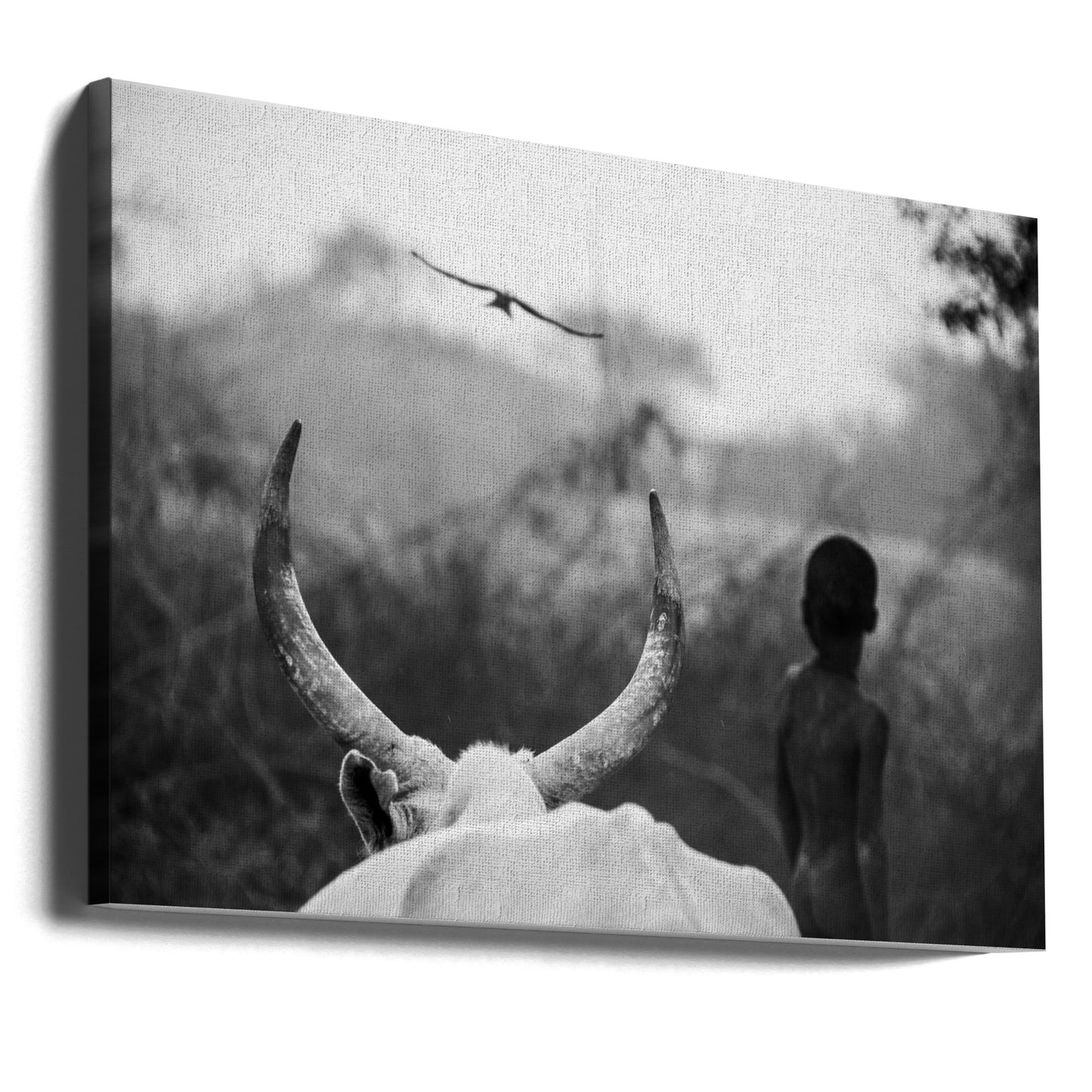 Pojke och Ko | Canvas