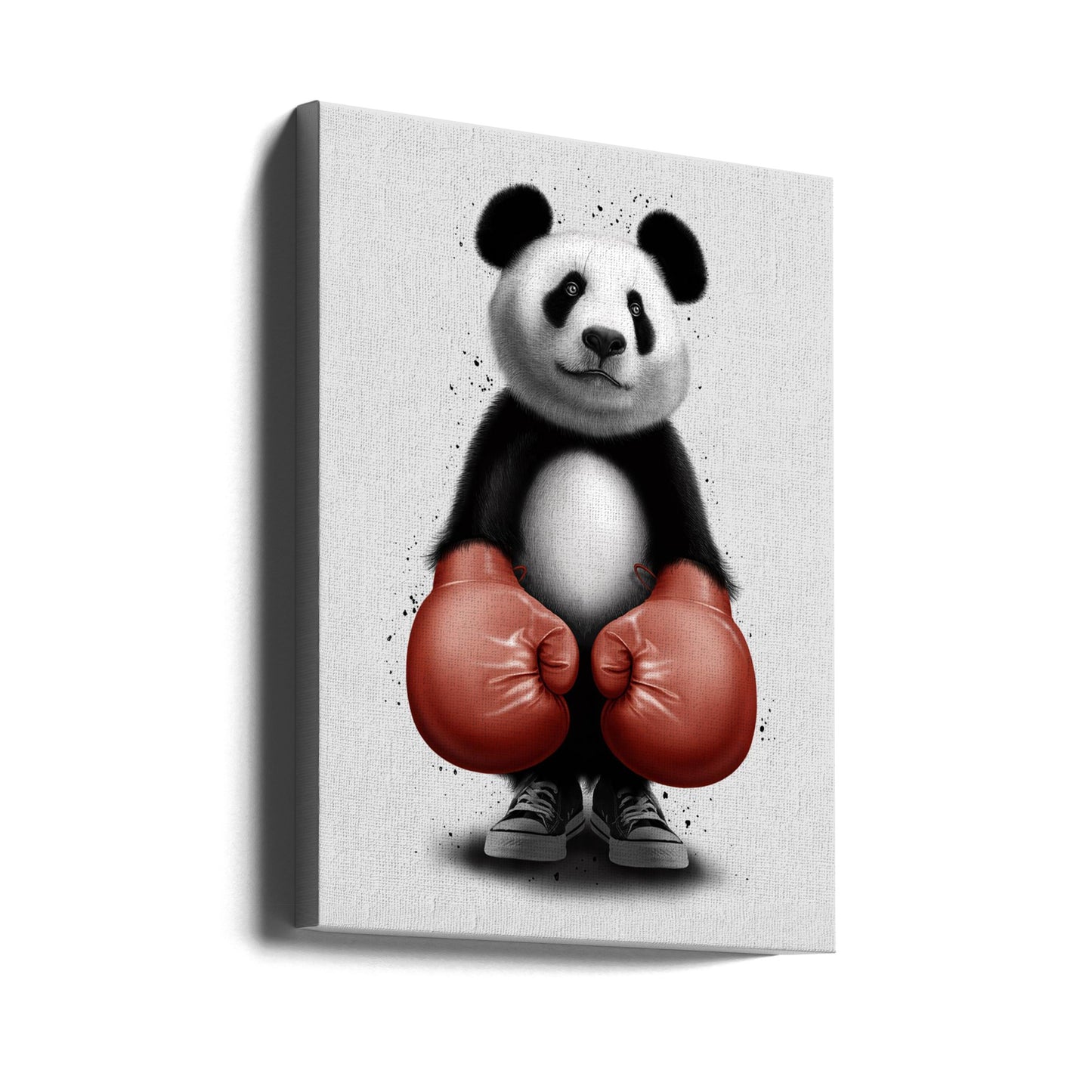 PANDA-BOXER | Leinwand-Bilder