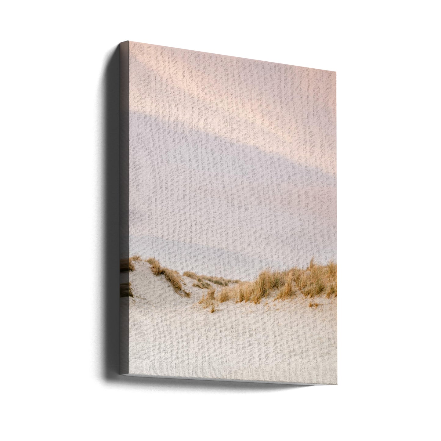Amelandin dyynit 3 | Canvastaulut