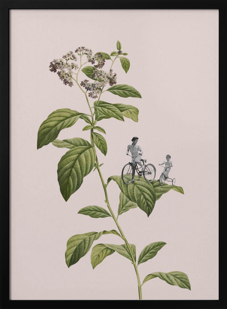 Botanisk cykling | Poster